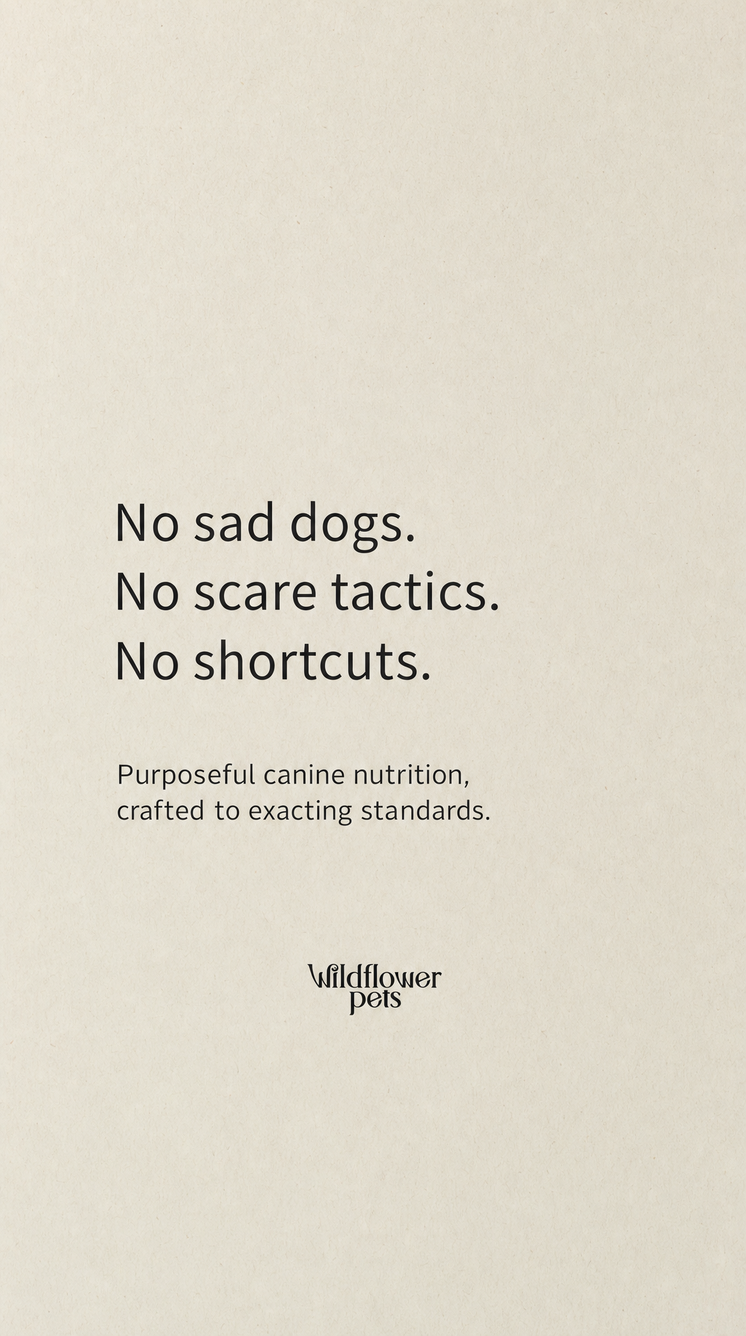 07. No sad dogs
