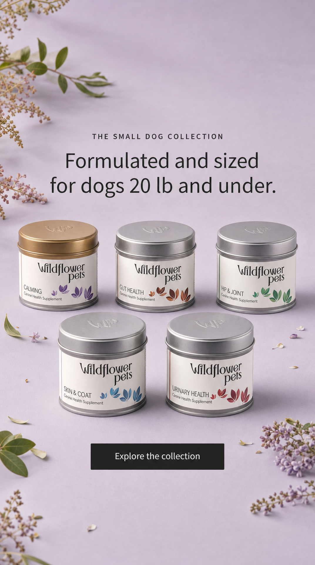 10. The Small Dog Collection
