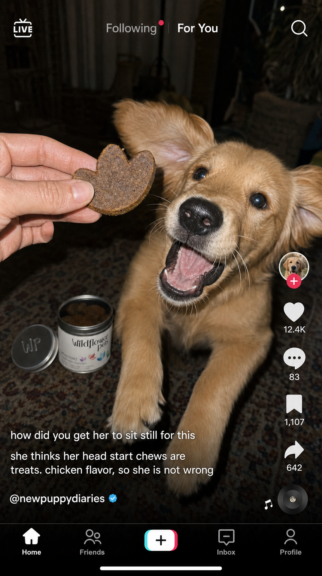 14. The puppy taste test